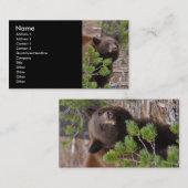 Visite profil ou carte de visite, ours noir (Devant / Derrière)