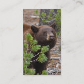 Visite profil ou carte de visite, ours noir (Dos)