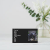 Visite profil ou carte de visite, ours noir (Debout devant)