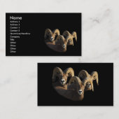 Visite profil ou carte de visite, RAM (Devant / Derrière)