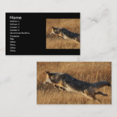 Visite profil ou carte de visite, sauter de coyote (Devant / Derrière)