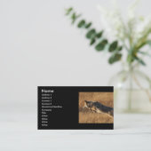 Visite profil ou carte de visite, sauter de coyote (Debout devant)