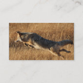 Visite profil ou carte de visite, sauter de coyote (Dos)