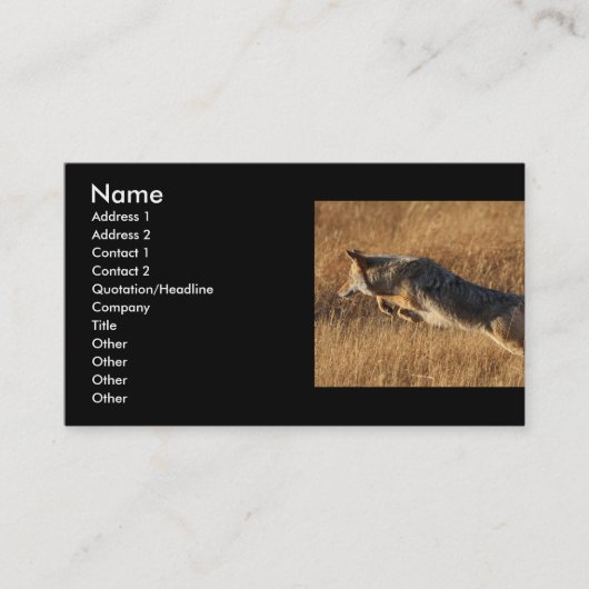 Visite profil ou carte de visite, sauter de coyote (Devant)
