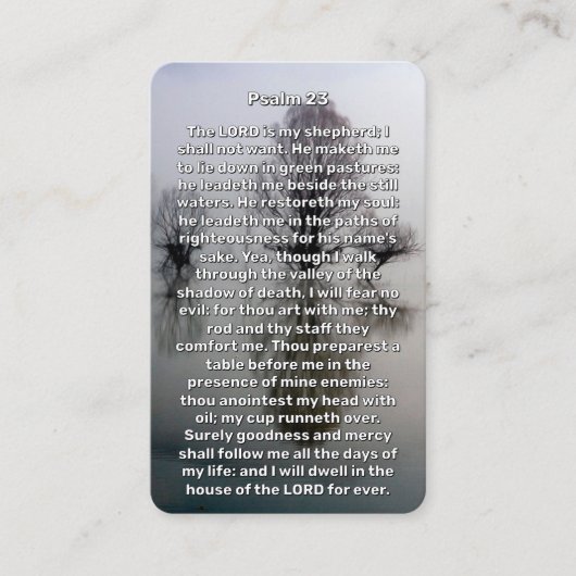 Visite Psaume 23 Carte de prière commémorative du lac ill (Devant)