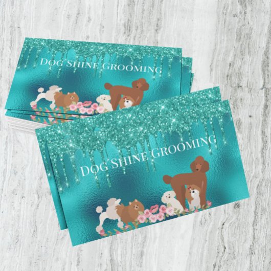 Visite Robin's Oeuf Blue Chig Grooming Carte de rendez-vo