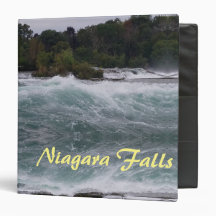 Visite touristique des chutes du Niagara