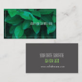 Visite Vert pâle Plante Feuille Nature Se sentir Carte de (Devant / Derrière)