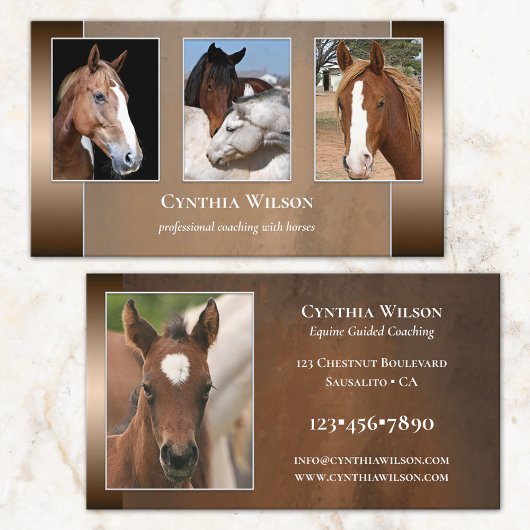 Visite Votre photo Cheval Stables ou Coaching Carte de vi