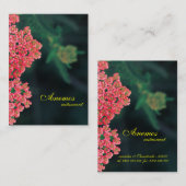 Visitekaartje (Voorkant / Achterkant)