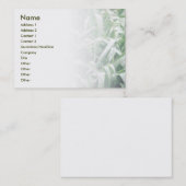 Visitekaartje (Voorkant / Achterkant)