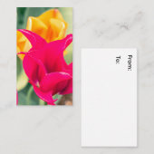 Visitekaartje (Voorkant / Achterkant)