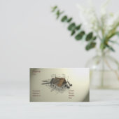 Visitekaartje architect (Staand voorkant)