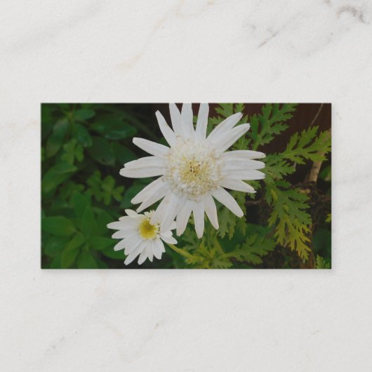 VISITEKAARTJE ART&DESIGN STIJL (Voorkant)