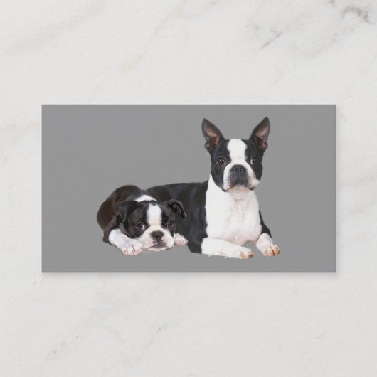 Visitekaartje Boston Terrier Lover (Voorkant)