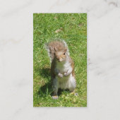 Visitekaartje eekhoorn (Achterkant)