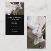 Visitekaartje geitenhouderij (Voorkant / Achterkant)