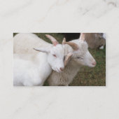 Visitekaartje geitenhouderij (Achterkant)