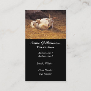 Visitekaartje geitenhouderij
