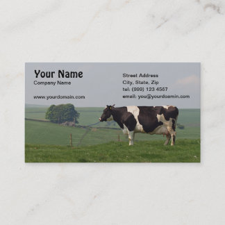Visitekaartje melkkoeien