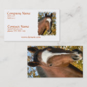 Visitekaartje met kwartpaarden (Voorkant / Achterkant)