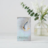 Visitekaartje Nautilus Shell (Staand voorkant)