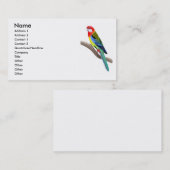 Visitekaartje Oost-Rosella Parrot (Voorkant / Achterkant)