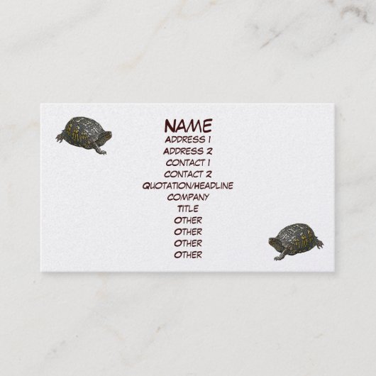 Visitekaartje oosterbox Turtle (Voorkant)