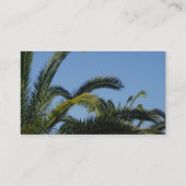 Visitekaartje palmbomen (Achterkant)