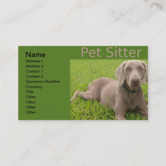 Visitekaartje Pet Sitter
