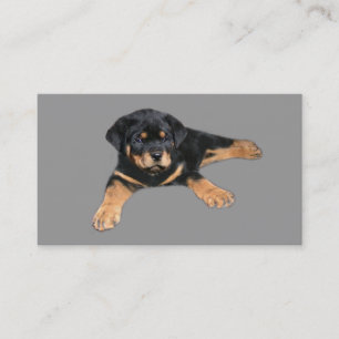 Visitekaartje Rottweiler Lover