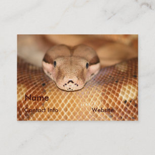 Visitekaartje Salmon Boa