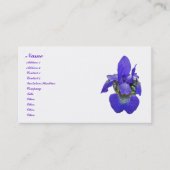 Visitekaartje Siberian Iris (Voorkant)