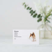 Visitekaartje van de Boxer-hond (Staand voorkant)