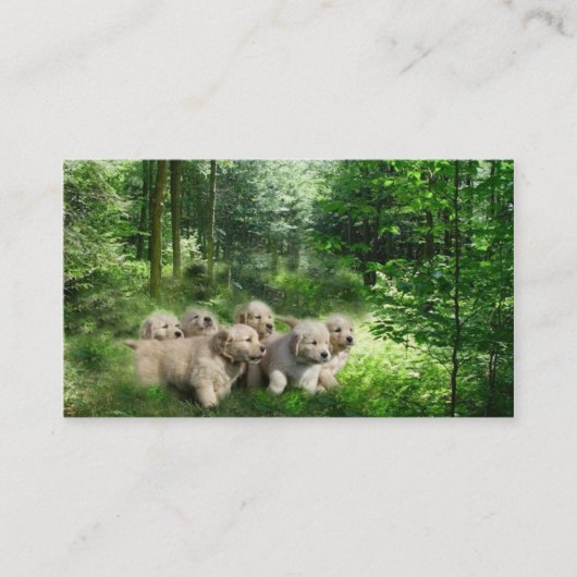 Visitekaartje van de fokker van Golden Retriever (Voorkant)