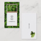 Visitekaartje van de wijnmarkt voor druiven van de (Voorkant / Achterkant)