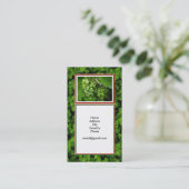 Visitekaartje van de wijnmarkt voor druiven van de (Staand voorkant)