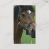 Visitekaartje van het Arabische Afbeelding voor pa (Achterkant)