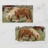 Visitekaartje van kastanjepaarden (Voorkant / Achterkant)