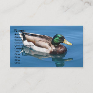 Visitekaartje van Male Duck