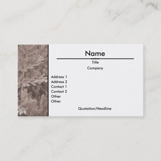 Visitekaartje van olijven (Sepia) (Voorkant)