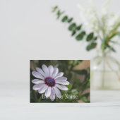 Visitekaartje van osteospermum (Staand voorkant)
