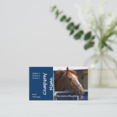 Visitekaartje van paarden (Staand voorkant)