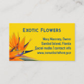 Visitekaartje van Paradise Yellow (Voorkant)