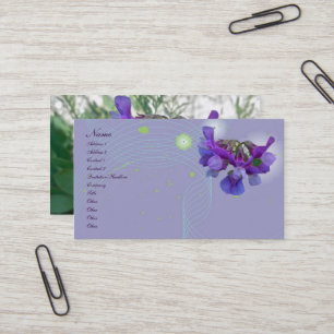 Visitekaartje van perwten (Lathyrus maritimus)