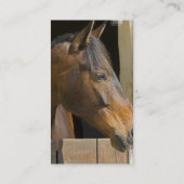 Visitekaartje van Thoroughbred Horses (Achterkant)