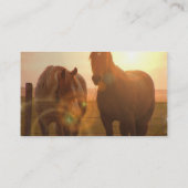 Visitekaartje van zonnepaarden (Achterkant)