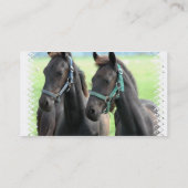 Visitekaartje van zwarte paarden (Achterkant)