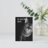 Visitekaartje Vet IV (Staand voorkant)