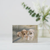 Visitekaartje voor de fokker van labrador Retrieve (Staand voorkant)